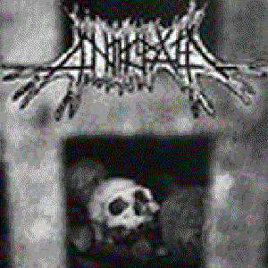 Abstract Brutality