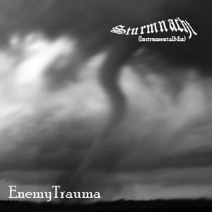 Image for 'EnemyTrauma'