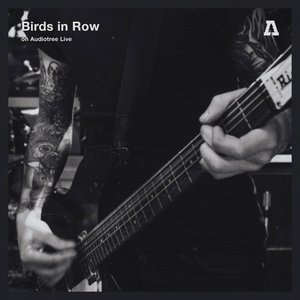 Birds in Row on Audiotree Live