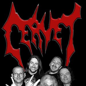 Cervet 的头像