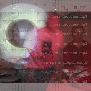 Шерсть
