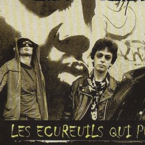 Image for 'les ecureuils qui puent'