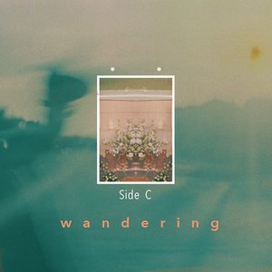 Wandering