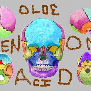 Olde Men On Acid 的头像