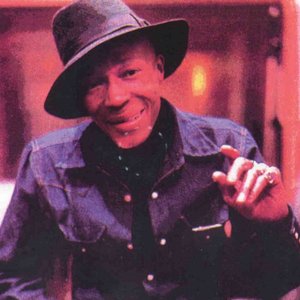 “Luther 'Snake Boy' Johnson”的封面