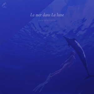 La mer dans La lune