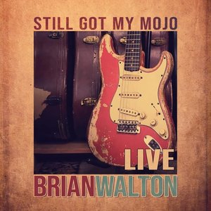 Still Got My Mojo