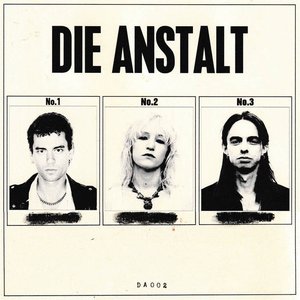 Die Anstalt