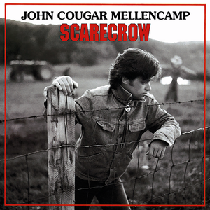 Scarecrow cover