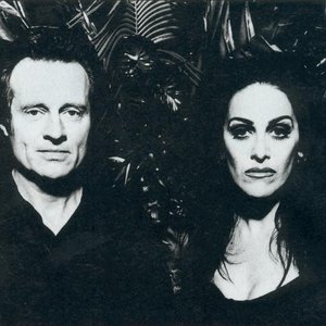 Image pour 'Diamanda Galás with John Paul Jones'