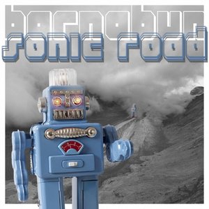 Sonic Road
