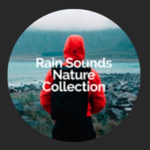 Rain Sounds Nature Collection 的头像