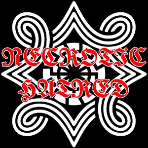 Awatar dla Necrotic Hatred