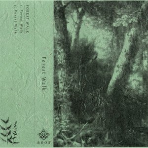 Forest Walk
