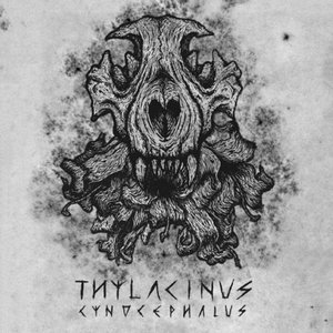 Thylacinus Cynocephalus