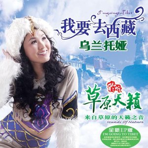 我要去西藏