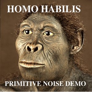 Primitive Noise Demo