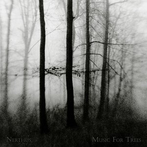 music for trees
