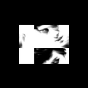 Fedefer 的头像