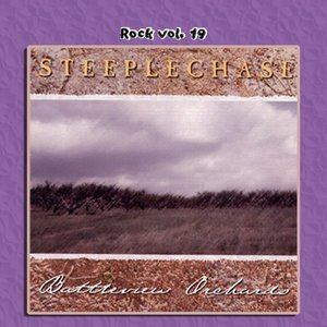 Rock Vol. 19: Steeplechase