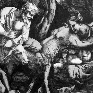 milk, horn, and skin