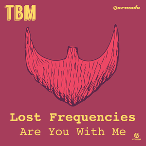 Lost Frequencies feat. Janieck Devy - Reality