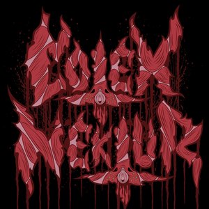 Cotex Nektur 的头像
