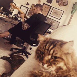 Accelerator Jengold 的头像