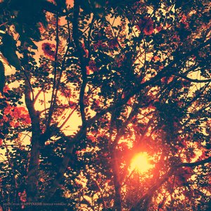 Happiness (Single Version)