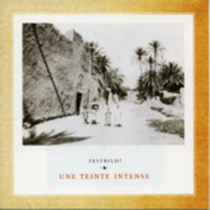 Une teinte intense cover