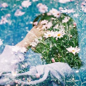 hanayui 的头像