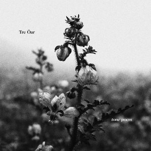 Tone Poem