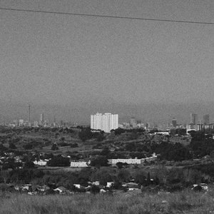 Avatar for Dying Leaves