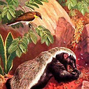 RateL 的头像