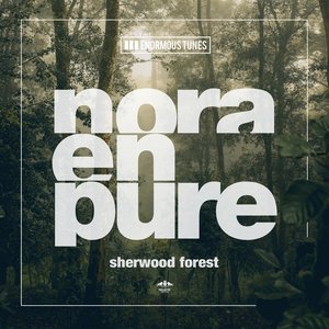 Sherwood Forest