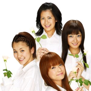 タンポポ＃ 的头像
