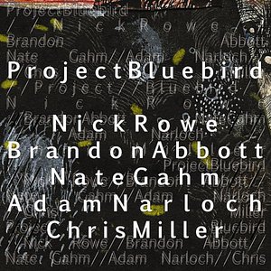 Life Vineyard Church: Project Bluebird