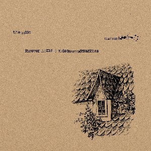 The Attic: Forever Home B-Sides, Demos, & Rarities