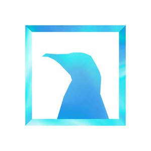 Drawing of a Penguin (Frasco Coveremix)