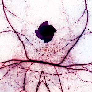 Hybridcore 的头像