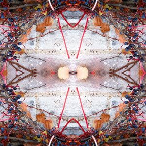 Avatar di The Fire Sermon