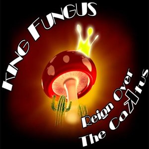 King Fungus için avatar