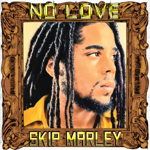 Skip Marley - No Love Lyrics - Zortam Music