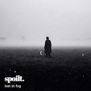 Lost in Fog
