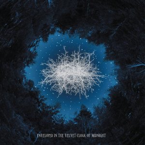 Enveloped In The Velvet Cloak Of Midnight