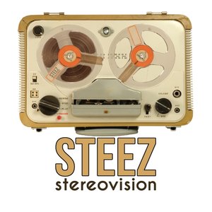 Stereovision