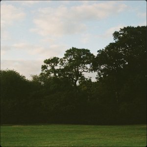 Chlorophyll