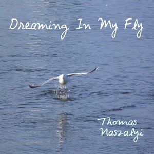 Dreaming in My Fly