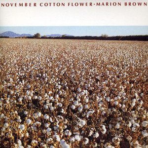 November Cotton Flower