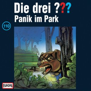 “110/Panik im Park”的封面